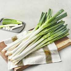 중국산 신선 대파, 3kg, 1개