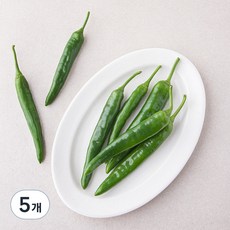 국내산 유기농 오이고추, 300g, 5개