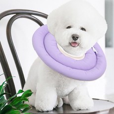 딩동펫 반려동물 스토퍼 넥카라, 퍼플, 1개