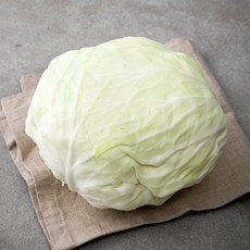 제주도 유기농 양배추, 1.2kg, 1개, 1봉, 1.2kg