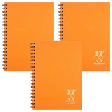 플라잉웨일즈 빨강머리앤 스프링노트 L, 오렌지, 3개 오렌지, 3개