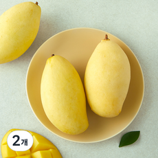 수플린 베트남산 께오 망고, 2개, 1.1kg(3입)