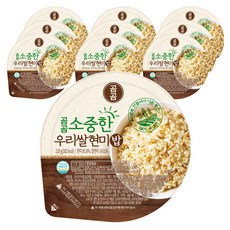 곰곰 소중한 우리쌀 현미밥, 210g, 10개