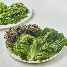 친환경 쌈채소 모둠, 200g, 1개