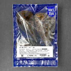 바다자리 국산 생물 키조개 3미 냉장, 1kg내외, 1개