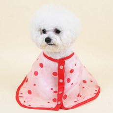 다솜 노령견 도트 세안 스카프 L, RED, 1개