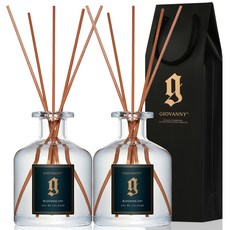 지오바니 더블에디션 디퓨져 250ml x 2p + 쇼핑백 세트, 블루밍데이, 1세트