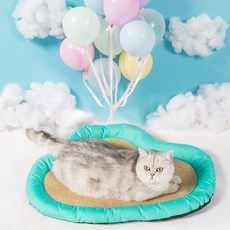 마브 강아지 고양이 구름 쿨방석, 민트