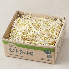 풀무원 소가 콩나물, 1kg, 1개 - 에띰