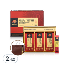 천지인 홍삼정 데일리원 6년근 홍삼 스틱, 300ml, 2개