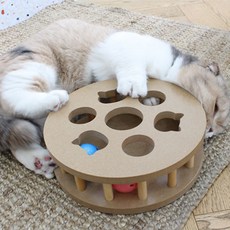 펫트롱 고양이 사냥놀이 플레이볼, 혼합 색상, 1개