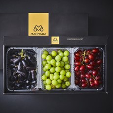 만나다 포도 3종 혼합 선물세트 1.65kg, 1세트