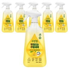 자연퐁 뿌려쓰는 주방세제 용기형 레몬향
