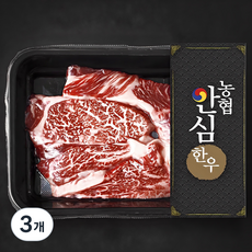 농협안심한우 등심 1+등급 구이용 (냉장), 200g, 3개