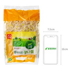 곰곰 아삭한 콩나물, 500g, 1봉 - 이미지 6