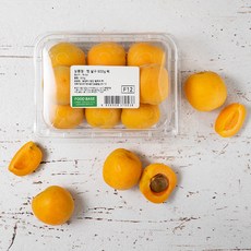 푸드베이스 햇 살구, 500g, 1팩