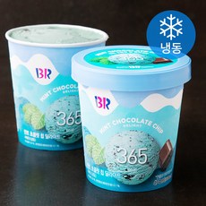 배스킨라빈스 민트 초콜릿 칩 딜라이트 아이스크림 (냉동), 474ml, 1개