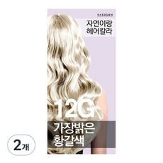 자연이랑 해든화장품 염색약, 12G가장밝은황갈색, 2개