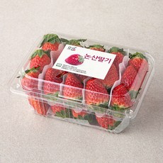 충남오감 논산 GAP 금실딸기(중과), 500g, 1개