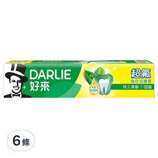 DARLIE 好來 超氟強化琺瑯質牙膏, 天然薄荷精華, 持久清新口氣, 250g, 6條