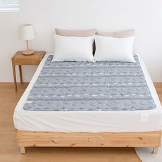 HanilMedical 루돌프 전기요 EPH-201D(22), 그레이, 더블(135cm x 180cm)