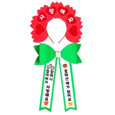 Risob父母節教師節康乃馨髮箍+花環緞帶組, 1組, 混合套組