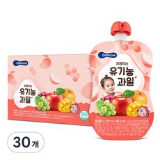 베베쿡 처음먹는 유기농 과일 100ml, 30개