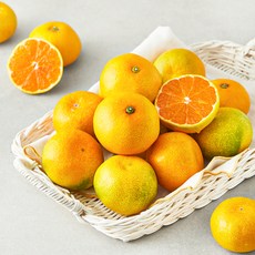 곰곰 당도선별 10brix 감귤, 1.5kg(로열과), 1개