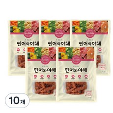 후코홀릭 강아지 간식 120g, 연어 + 야채 혼합맛, 10개