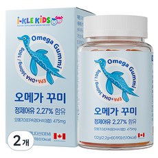아이클키즈 오메가 꾸미 132g, 60정, 2개