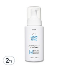 순정 약산성 6.5휩 클렌저 대용량 250ml 21AD NEW, 2개