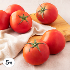 완숙 토마토, 1.5kg, 5팩