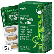 퍼니트 기억력 혈행개선 은행잎추출물 징코플러스 17g, 30정, 5개