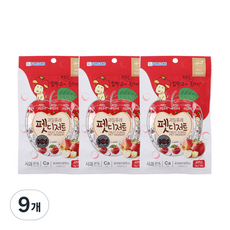 포켄스 과일퓨레 펫디저트 15g x 7p, 사과, 9개