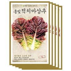 다농 홍빛적치마상추씨앗, 3g x 5개