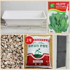 시금치한단가격