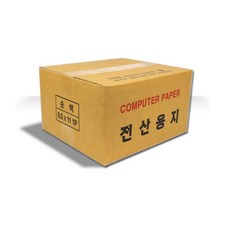 후지기록용100