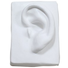 MORYARTS人體耳朵石膏像, 1 個, 17 x 11.5 厘米