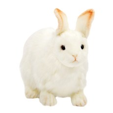 한사토이 4671번 토끼 봉제인형, 20cm, 혼합 색상