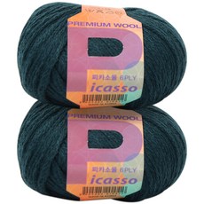 피카소꼴레지오니305