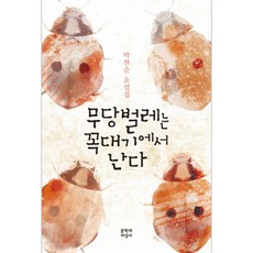 무당벌레책