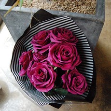 cb3cc4d2-ed57-4fbc-b097-840eb3d88ac5.jpg