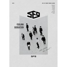 sf9잡지