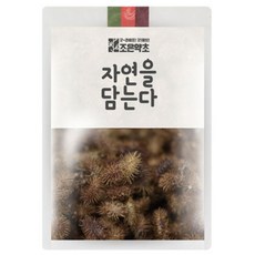 도꼬마리