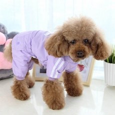 꼬까독우비