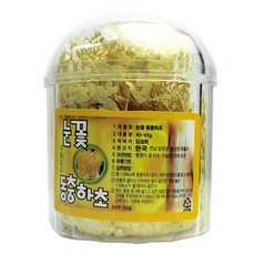 동광종합물산 동충하초 국내산, 40g, 1개