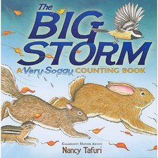 The Big Storm: A Very Soggy Counting Book Hardcover, Simon & Schuster Books for Young Readers