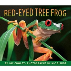 Red-Eyed Tree Frog Hardcover, Scholastic Press