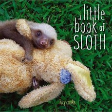 A Little Book of Sloth Hardcover, Margaret K. McElderry Books