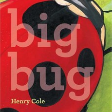 Big Bug Hardcover, Little Simon